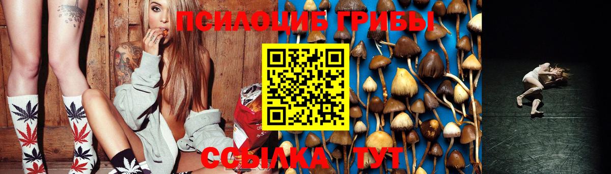 Псилоцибиновые грибы Psilocybine cubensis  Псилоцибиновые грибы MAGIC MUSHROOMS  Вход с VPN  Омск 