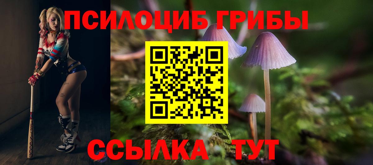 Галлюциногенные грибы GOLDEN TEACHER Омск